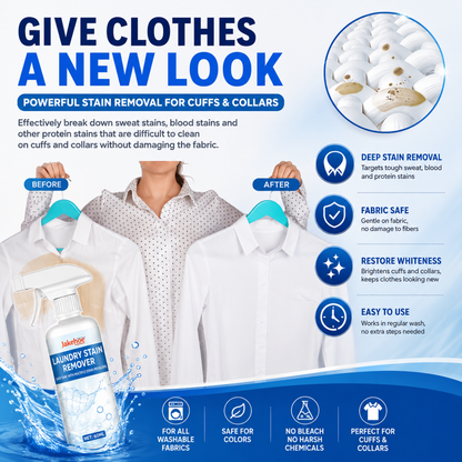 Instant Stain Remover Spray