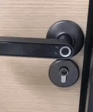 Interior Biometric Door Lock
