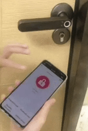 Interior Biometric Door Lock
